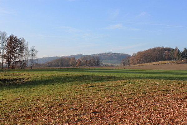 Cunewalde